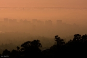 Oakland Foggy Sunset